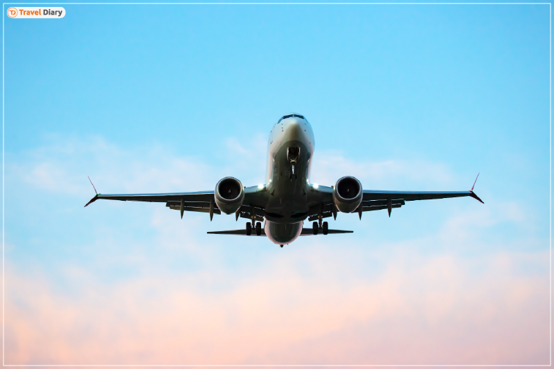 Vistara’s Domestic Share Ranking Vistara’s Domestic Share Ranking