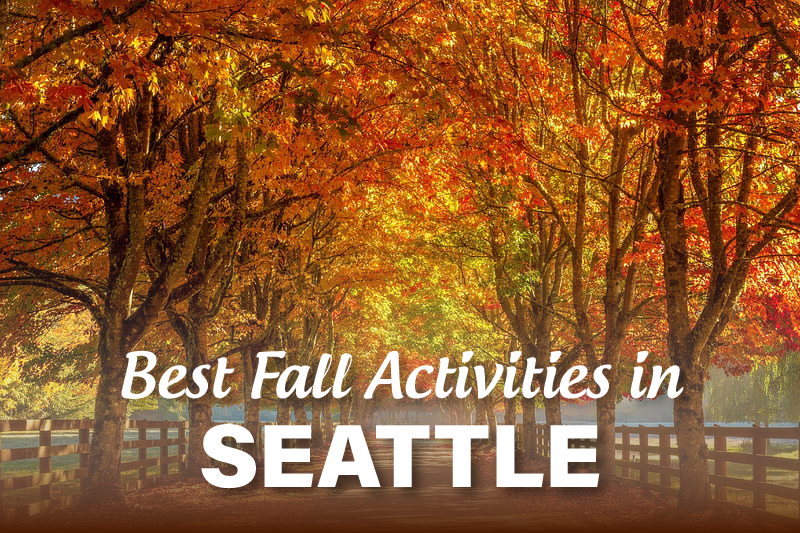 Fun Fall Activities in Seattle City Life Travel Diary