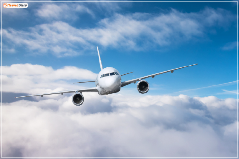 American Airlines Business Loyalty Program American Airlines Business Loyalty Program