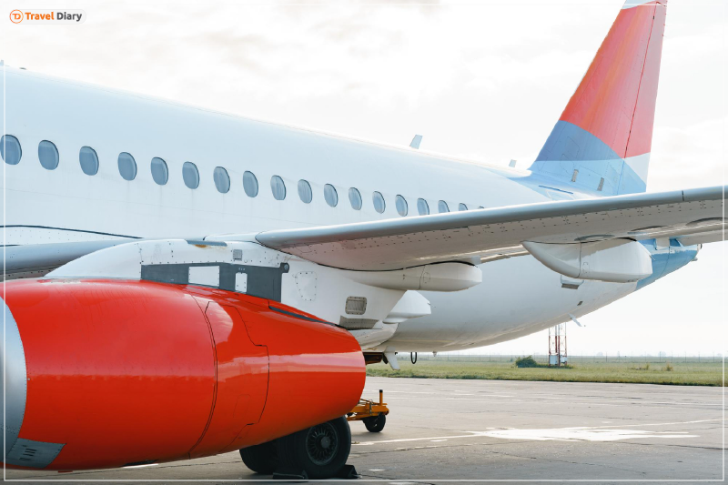 Everything You Need to Know About Cochin International Airport