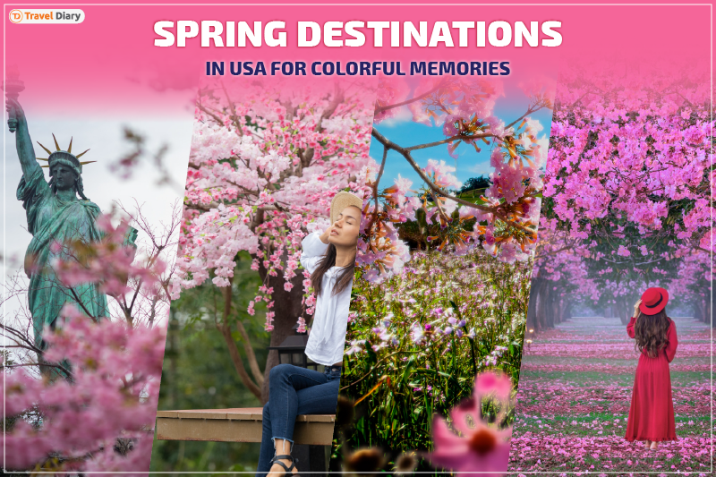 Best Spring Destinations in USA for Colorful Getaway