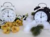 Fall Back 2026: Exact Date, Time, and Everything to Know Daylight saving time ends on November 1, 2026, as clocks fall back one hour across most of the United States.